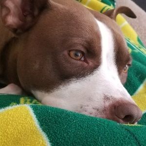 Meet your Posher, Lydia